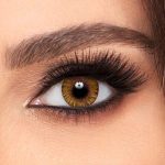 لنز رنگی ایراپتیکس (فصلی)